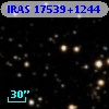 IRAS 17539+1244