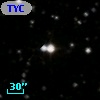 TYC 1006-1259-1