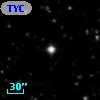 TYC 1019-1550-1