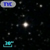 TYC 1019-1698-1