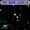 TYC 1016-1255-1