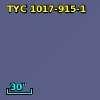TYC 1017-915-1