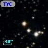 TYC 1017-1253-1