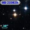 HD 233029