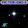 TYC 2839-1202-1