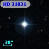 HD  31031
