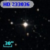 HD 233036