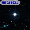 HD 233031