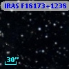 IRAS F18173+1238