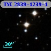 TYC 2839-1239-1