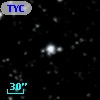 TYC 1017-55-1