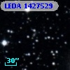 LEDA 1427529