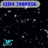 LEDA 2808856