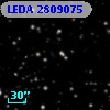 LEDA 2809075
