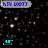NSV 10977