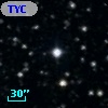 TYC 1031-104-1