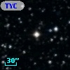 TYC 1031-607-1