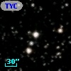 TYC 1031-1325-1