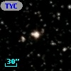 TYC 1031-1503-1