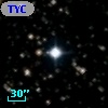 TYC 1031-1699-1