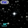 TYC 1032-1664-1