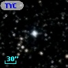 TYC 1033-163-1