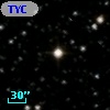 TYC 1036-442-1