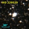 HD 229520