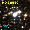 HD 229650