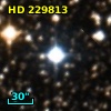 HD 229813