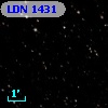 LDN 1431