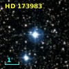 HD 173983