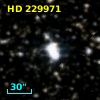 HD 229971