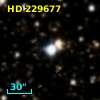 HD 229677