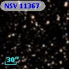 NSV 11367