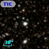 TYC 1030-3198-1