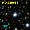 HD 229636