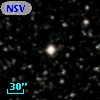 NSV 11356