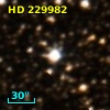 HD 229982