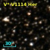 V* V1114 Her