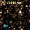 V* V1667 Aql