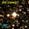 HD 230407