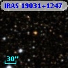 IRAS 19031+1247