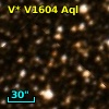 V* V1604 Aql