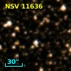 NSV 11636