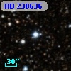 HD 230636