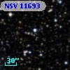 NSV 11693