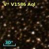 V* V1586 Aql