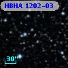 HBHA 1202-03