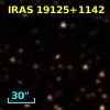 IRAS 19125+1142
